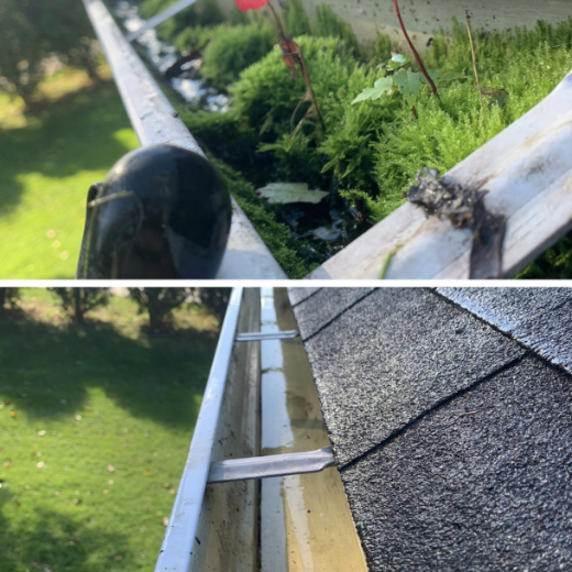 Gutter Cleaning